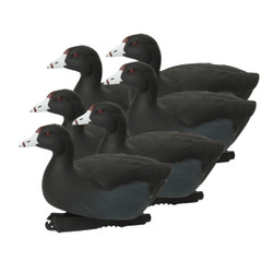 GHG Over Size Coot Duck Decoys 6 Pack